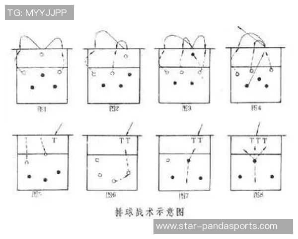 深度分析深圳排球队进攻战术及其在比赛中的应用策略 深度分析深圳排球队进攻战术及其在比赛中的应用策略