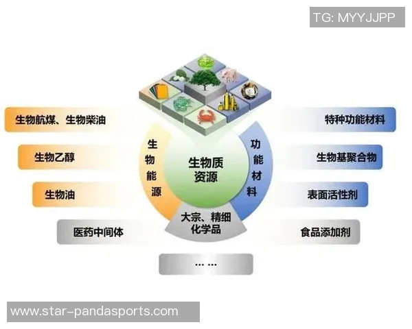 重庆足球队进攻革新之路探索与实践的深度剖析与展望