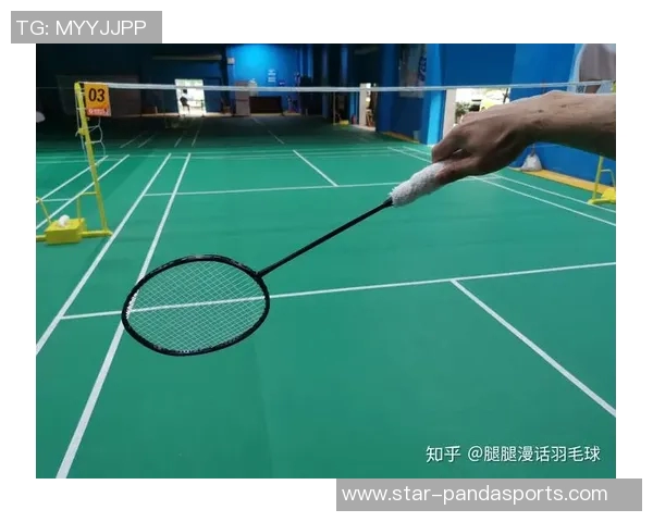 体育实时数据从零基础到高手之路羽毛球全面提升技巧与训练方法指南 体育实时数据从零基础到高手之路羽毛球全面提升技巧与训练方法指南